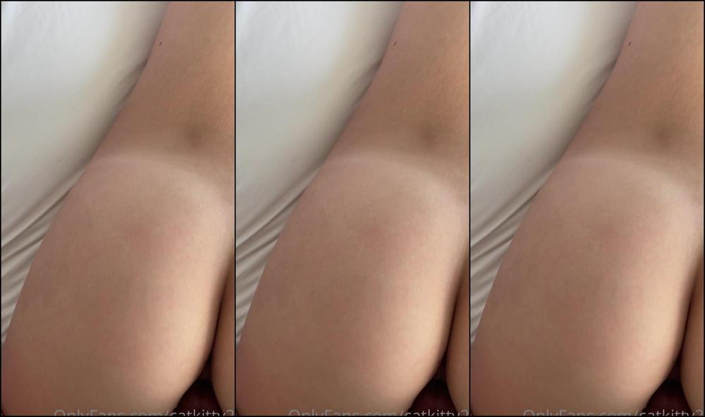 catkitty21-15-03-2021-2055549129-a-little-morning-time-fun-swipe-for-a-video-neverkbest
