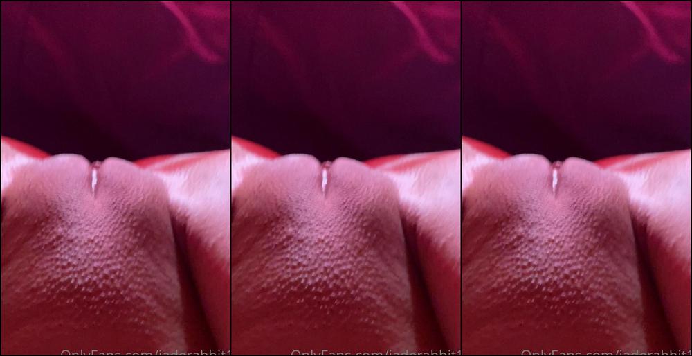 Jaderabbit18 0Gtuq28Pkk9N7Cu4Rb96M Source