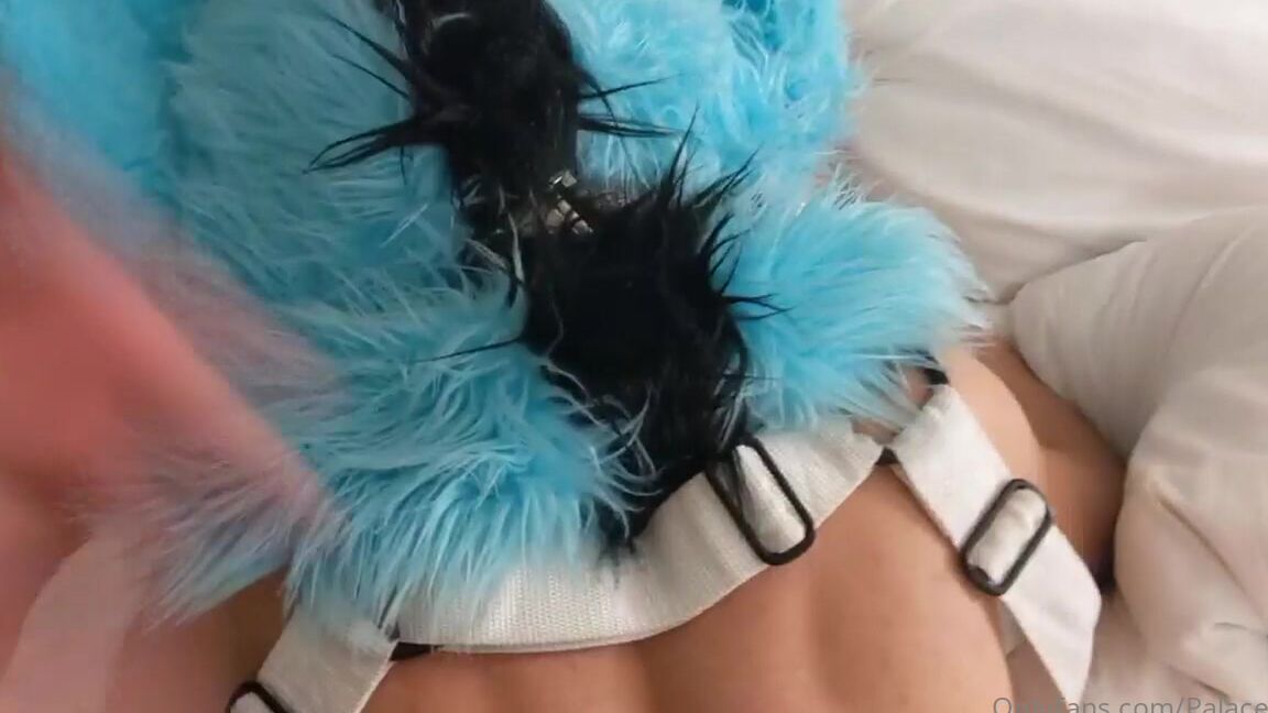 Palacewolf 349947791 Anthrocon Is Coming Is This Coming Week So Look Forward To 01 30511A5D B682 4Af2 99Be 788C7Ad801D4