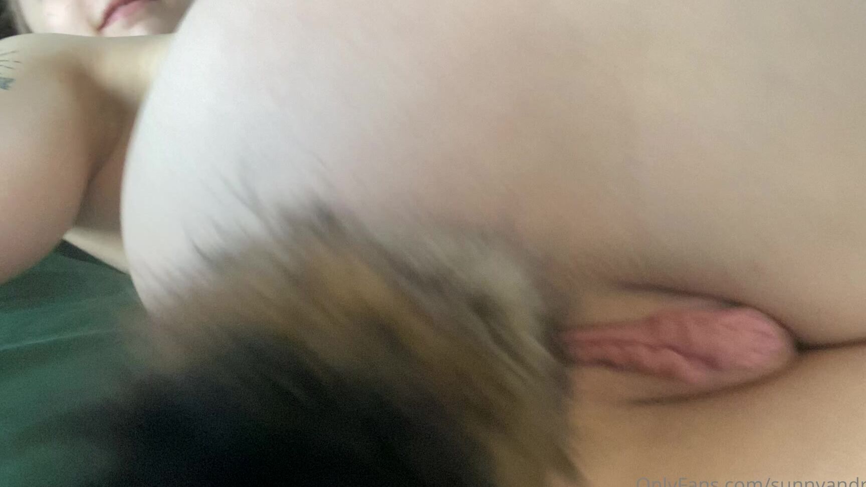 Sunnyandraven 2021 01 18 2011416292 The Prettiest Fox You Ve Ever Seen