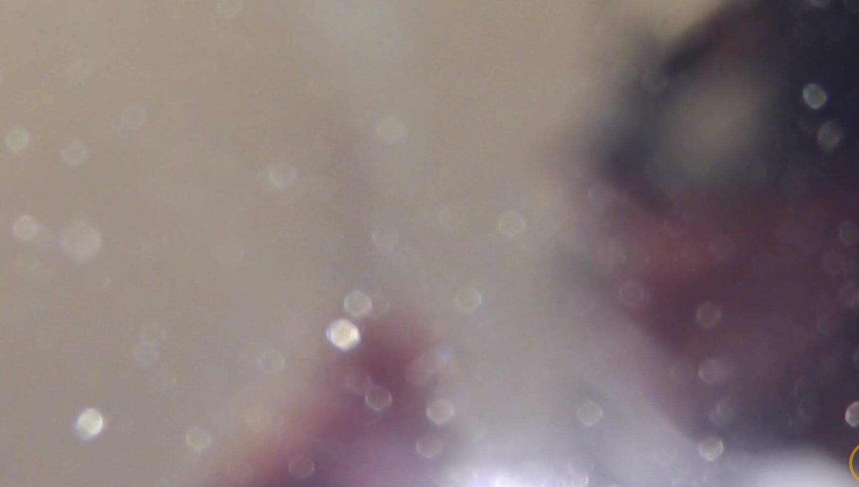 Smokingmania Vs Menthol Closeup