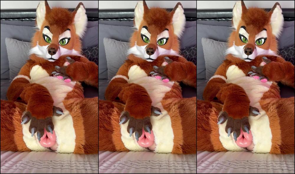 Angel Pups 1590385388 This Vixen Is Very Happy You Re Here 01 0Hzdo4Qflnarv331Xc90S Source