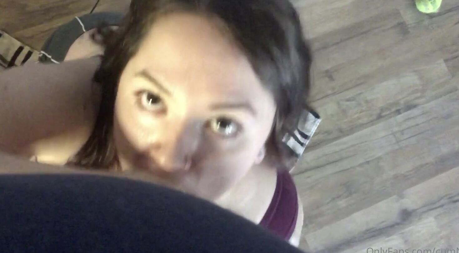 Cumnrise Milk Content Bj