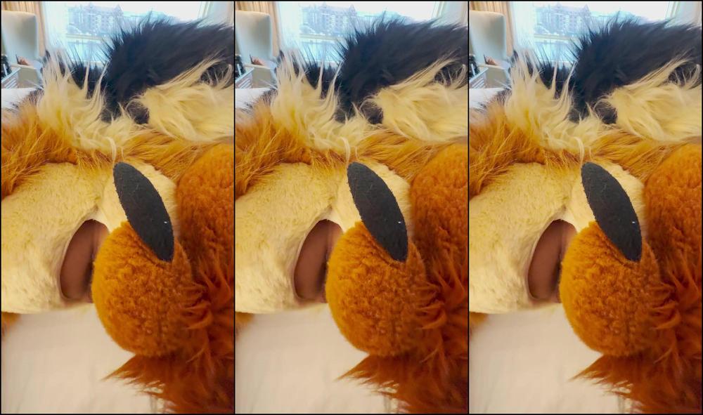 Palacewolf 989074209 Want To Stop By My Room For A Turn On My Shep Tail Full Vi 01 0Ho0Pubpv4M8Ffqs5Te6M Source