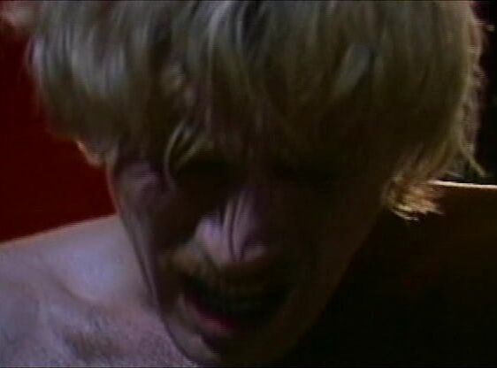 "Allison Rand, Doreen Belmont, Ebony Ayes, Lauryl Canyon, Pleasure, Shanna McCullough, Toni Panther, Gary Burbank, Jesse Adams, Ray Victory" Interracial, Straight, Classic, Feature The Sexaholic VCA