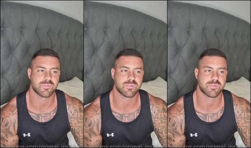 Primal Instincts Checking In With Everyone Letting You Know How I M Going And What I M Up To