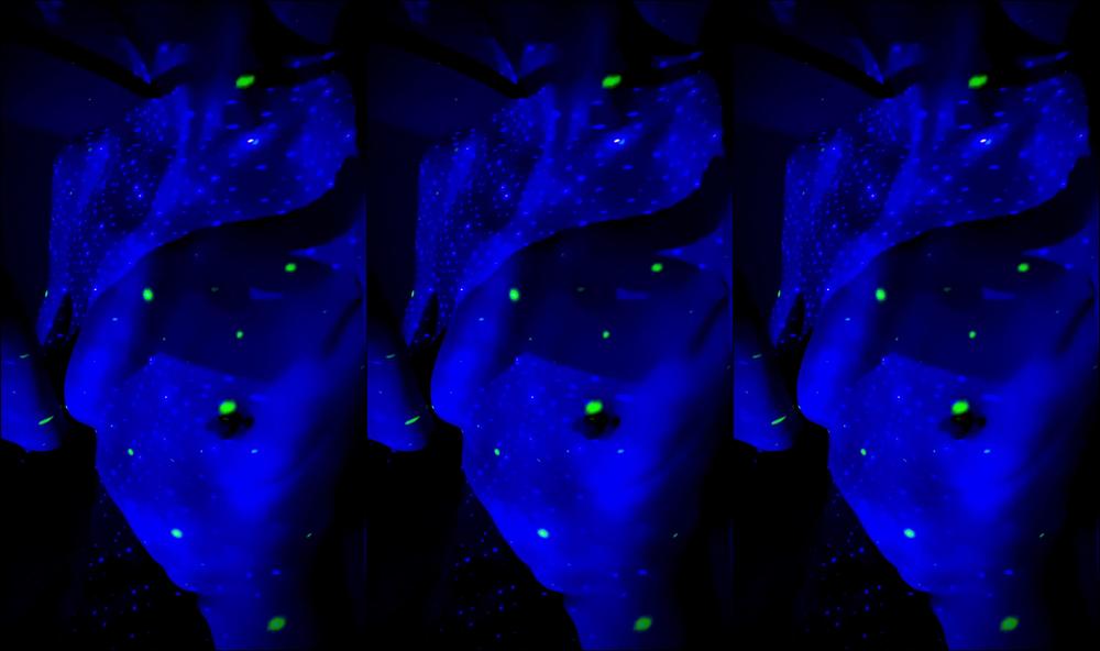 Autumn Orchid 466063638721998848