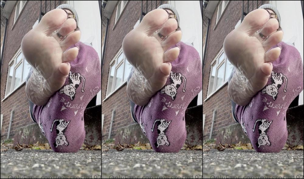 Missrosie Vinegary Work Socks