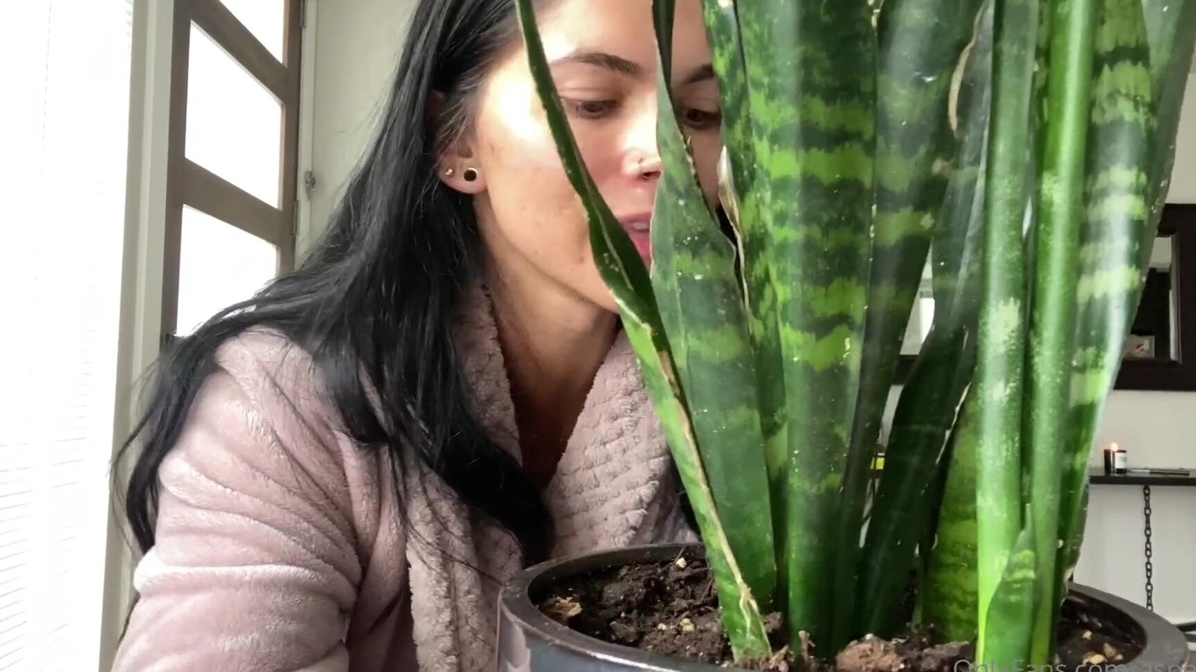 Aspenrae I Can T Believe I Made This But Here Is A Min Video Of Me Talking About Every Single