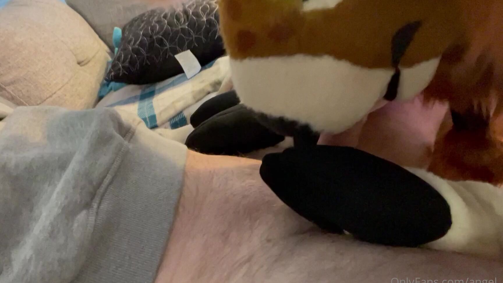 Angel Pups 283126202 Storm S Been Spending More And More Quality Time With Jessie 01 9Dda3D80 3674 4Ab0 8Eb1 23444896856E