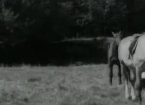 Nudism, Amateur Vintage Nudists Outdoors SiteRip