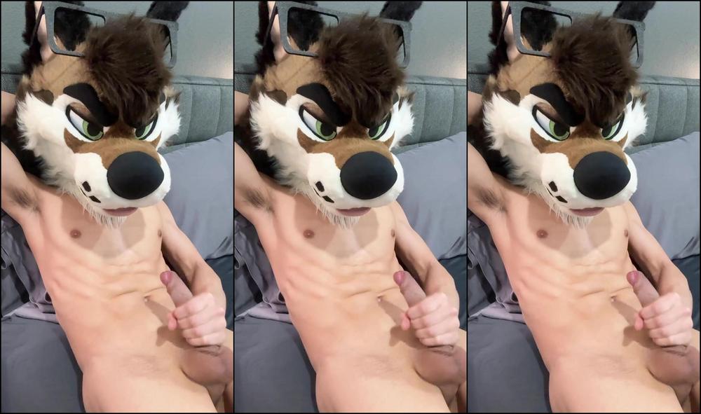 Palacewolf 0Hy9Ry5Uttp7G69Sq9Bg7 1920