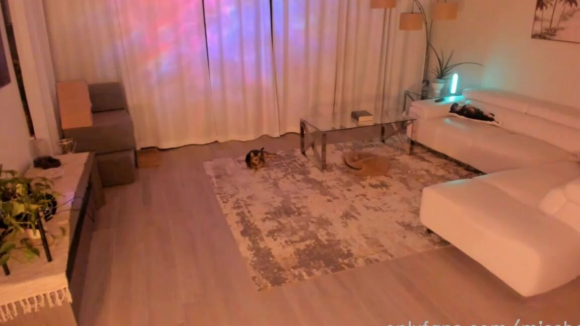 Missbella Onlyfans Stream Started At 09122023 0306 Am Testing Testing