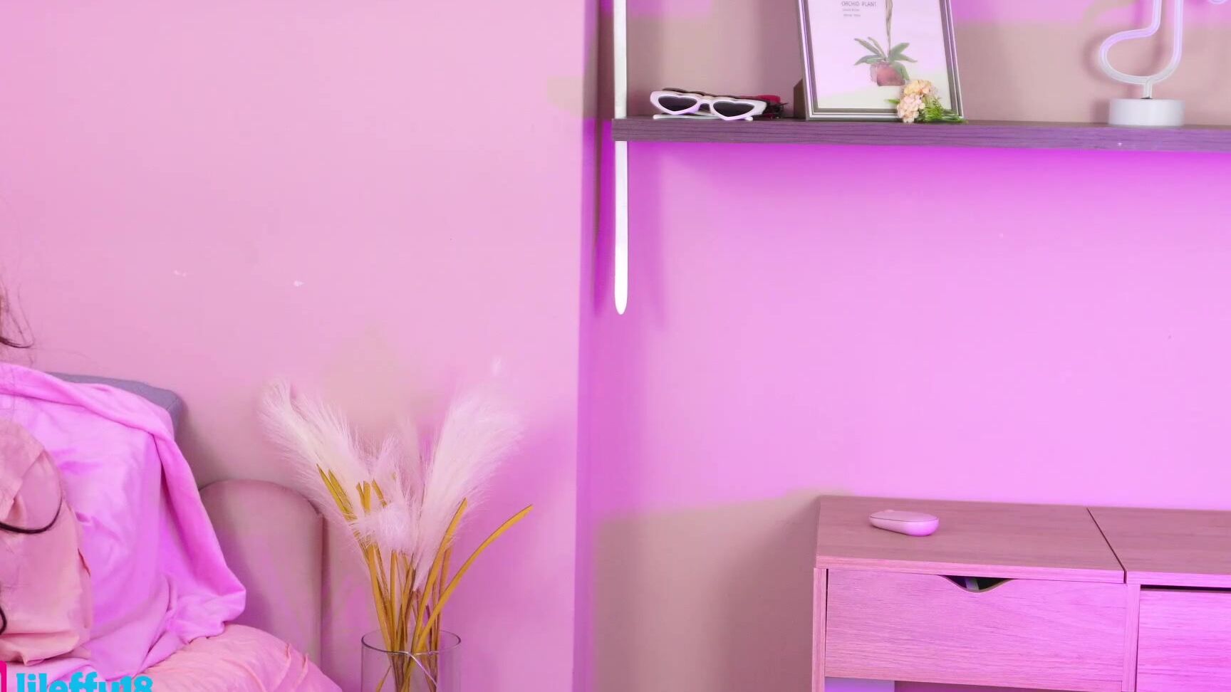 "little effy18" little_effy18__Chaturbate_20241118-234138_001 Web Cam