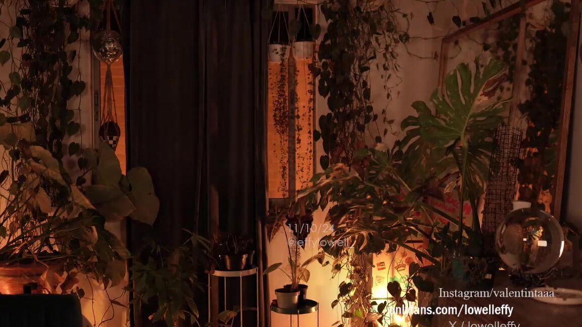 CB Effylowell 12-10-2024 web cam