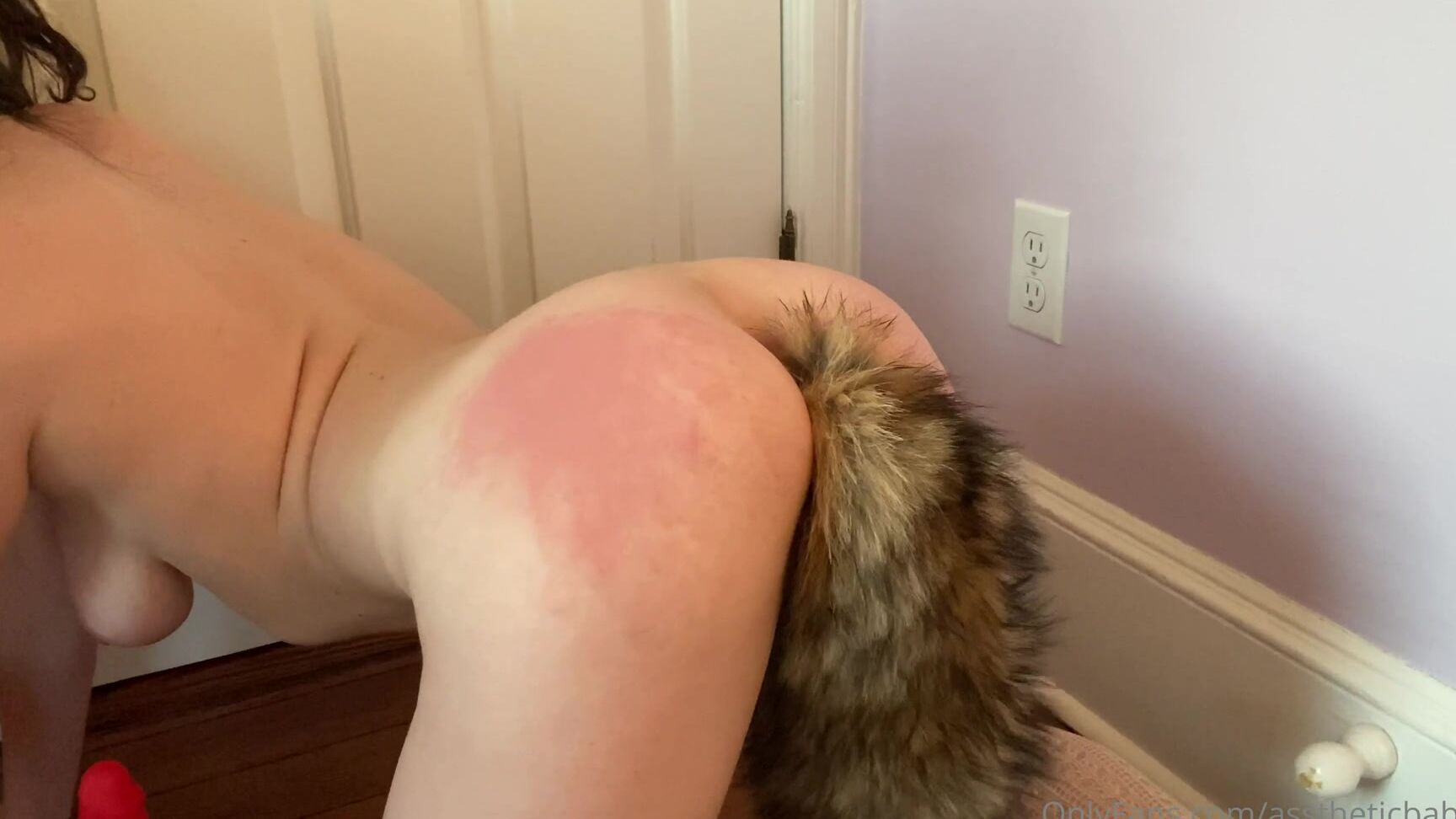 K Nkykitty You Tie Your Pet To The Door And Go To Work This Is What Happens