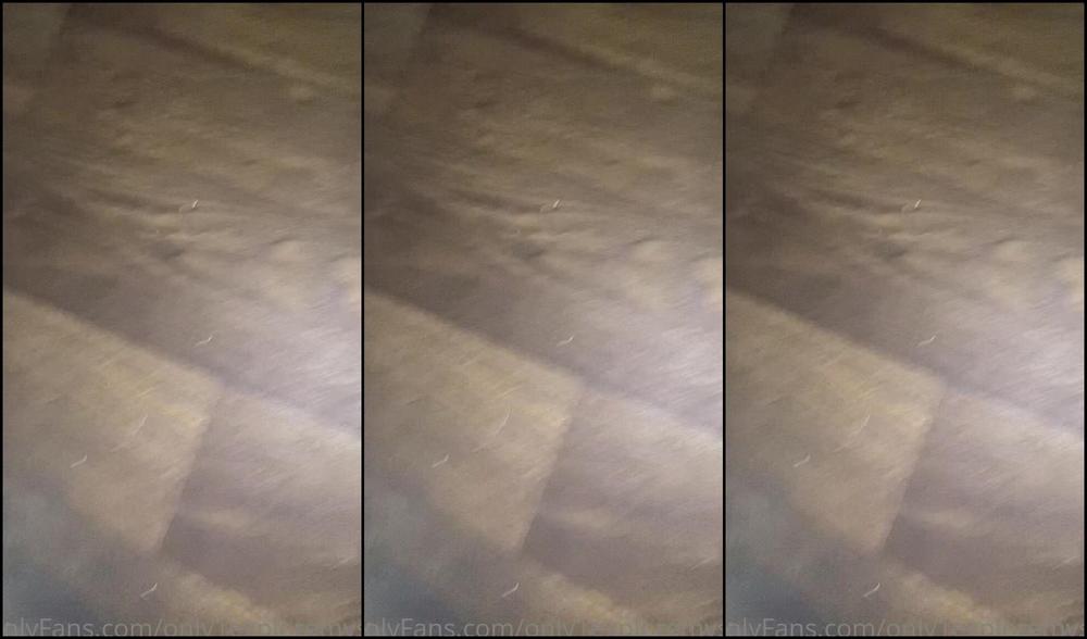 Only Exploremysoles White Flip Flops It Is Then