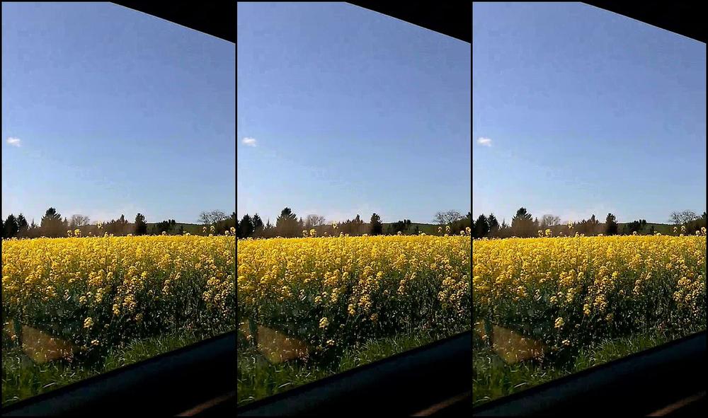 "Perfekttlilly18" voyeur, exhibitionism, amateur, daddys girl, outdoors 4 my Manyvids Friends and Fans FREE Vid Manyvids