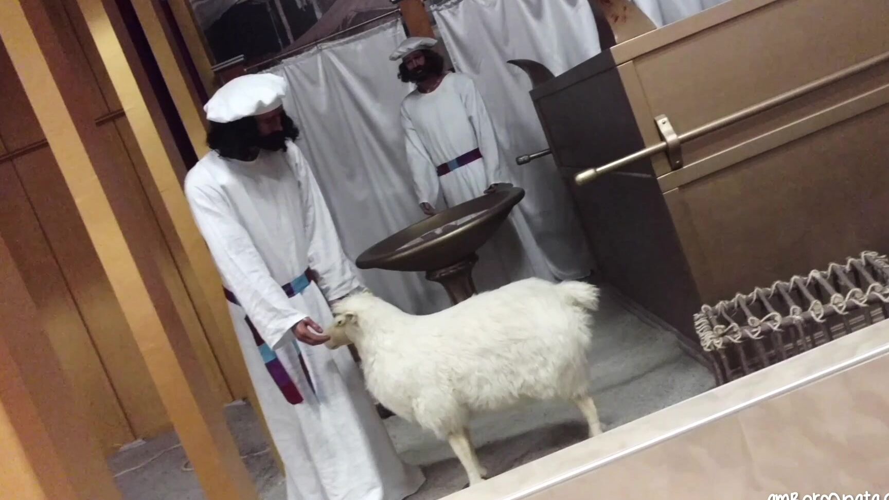 Outdoor Public Blowjobs, Public Blowjob, Public Flashing, Public Nudity, Public Outdoor amber sonata creationism museum public blowjob ManyVids