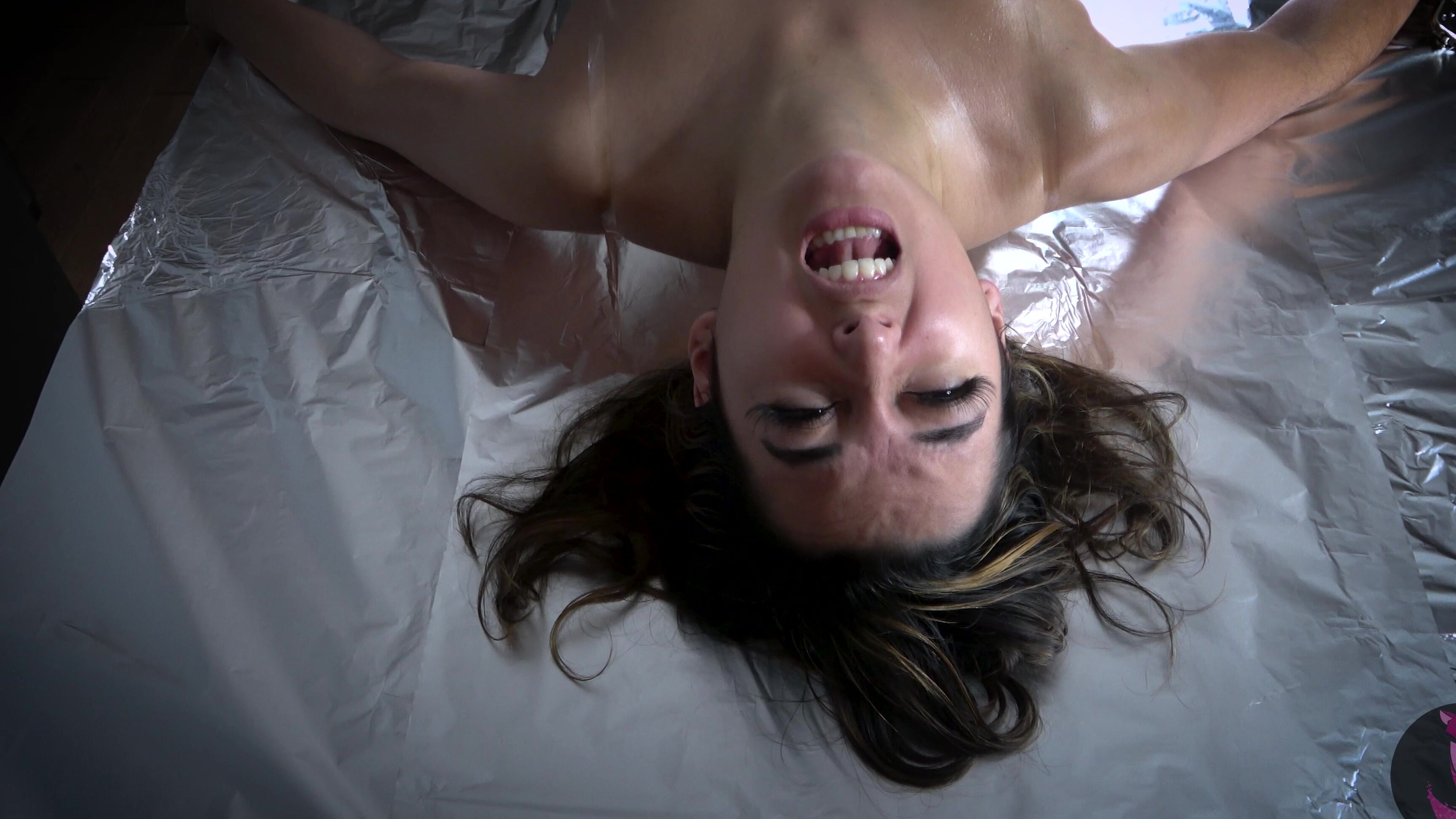 Summer Fox Electrocuting Summer Fox