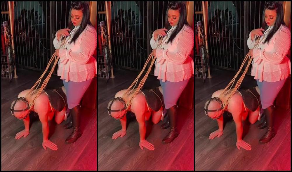 Mistress Eclipse Nicknamed Mistresseeclips Femdom 12 05 2023 Onlyfans Video Be A Good Pony Boy