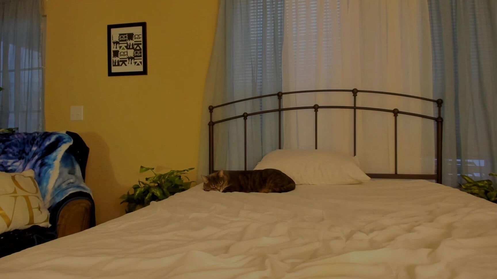 Redhead, Amateur, Solo Female, Solo masturbation, Dildo Fucking daphnemadison ice play fingering and toy fucking ManyVids