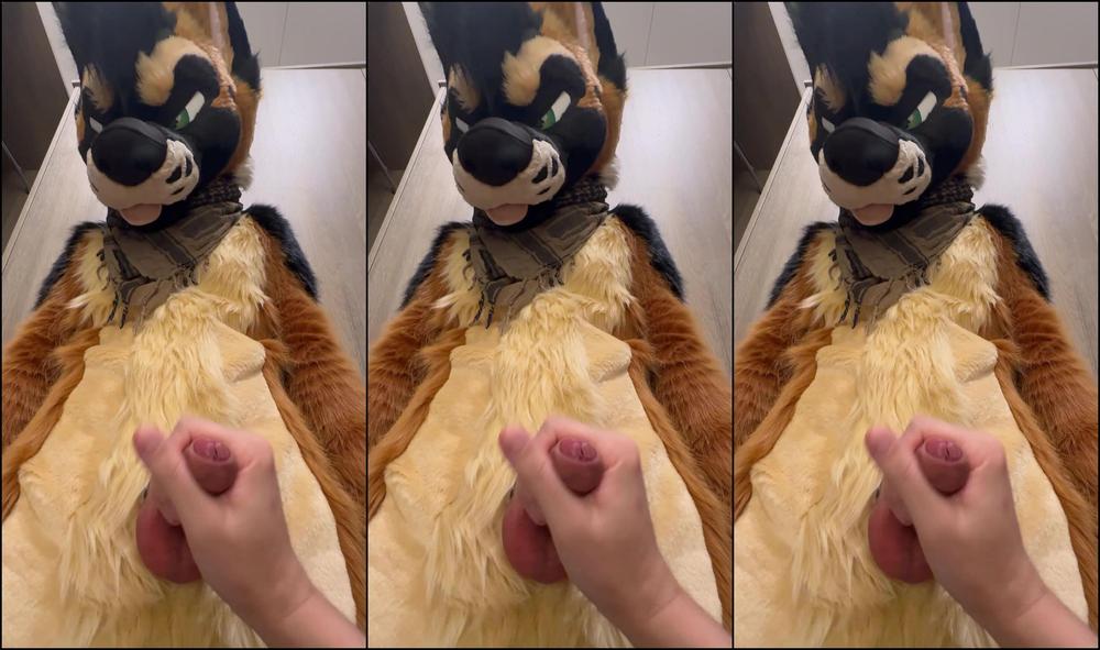 Palacewolf 924240597 Full Video Want To Sneak Into The Closet During The Party 01 0Hmkw4Lshlov2034Em8Hi Source