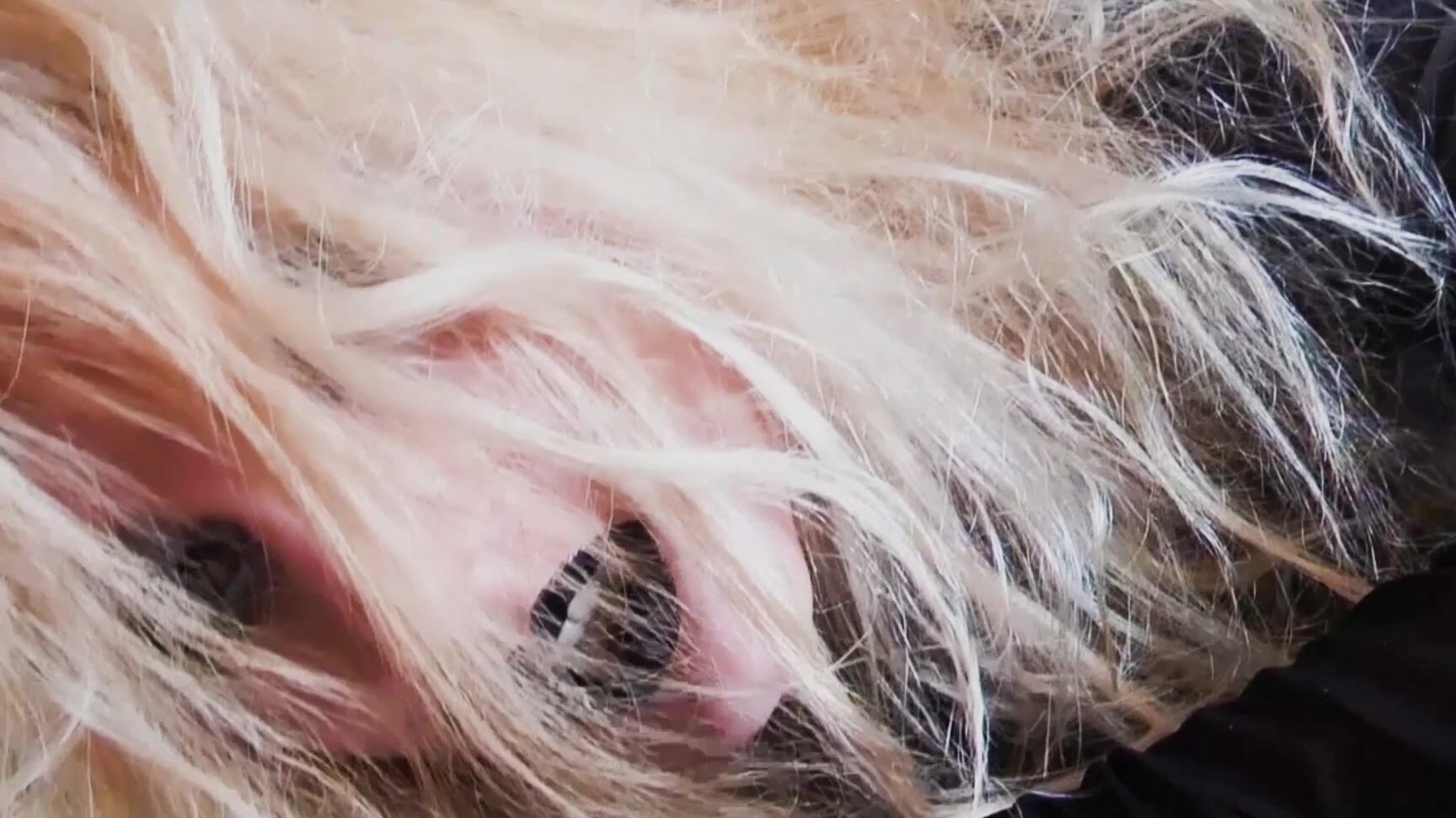 Nylon Encasement,Mesmerize,Financial Domination,Masturbation Encouragement goddessceline encased by nylon addiction ManyVids