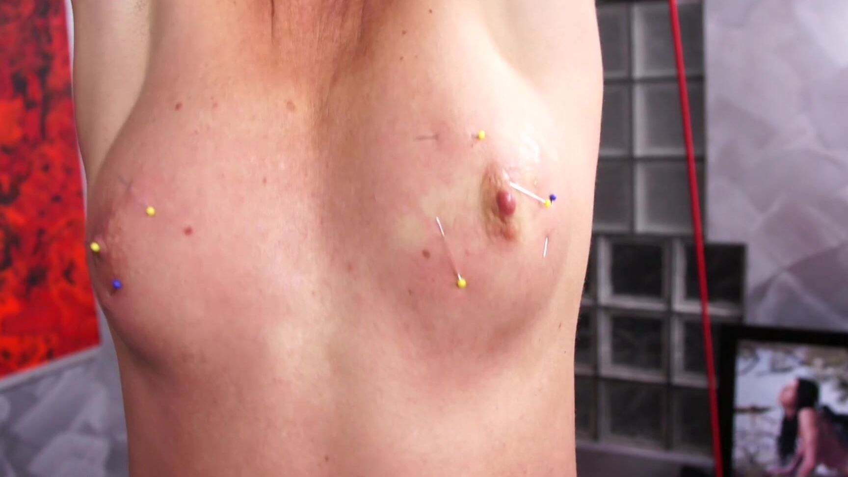 Queensnake Santa Hunt P