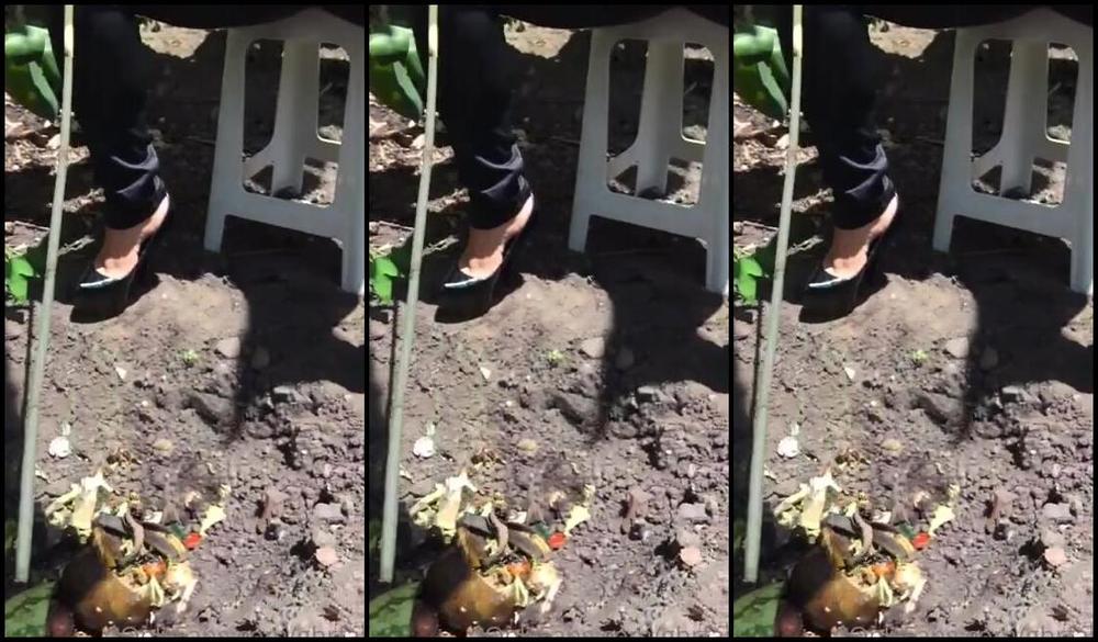 Ghrfan Onlyfans Goddess Barbara Is Telling Me That This Will Be My Place To Eat At Her Feet