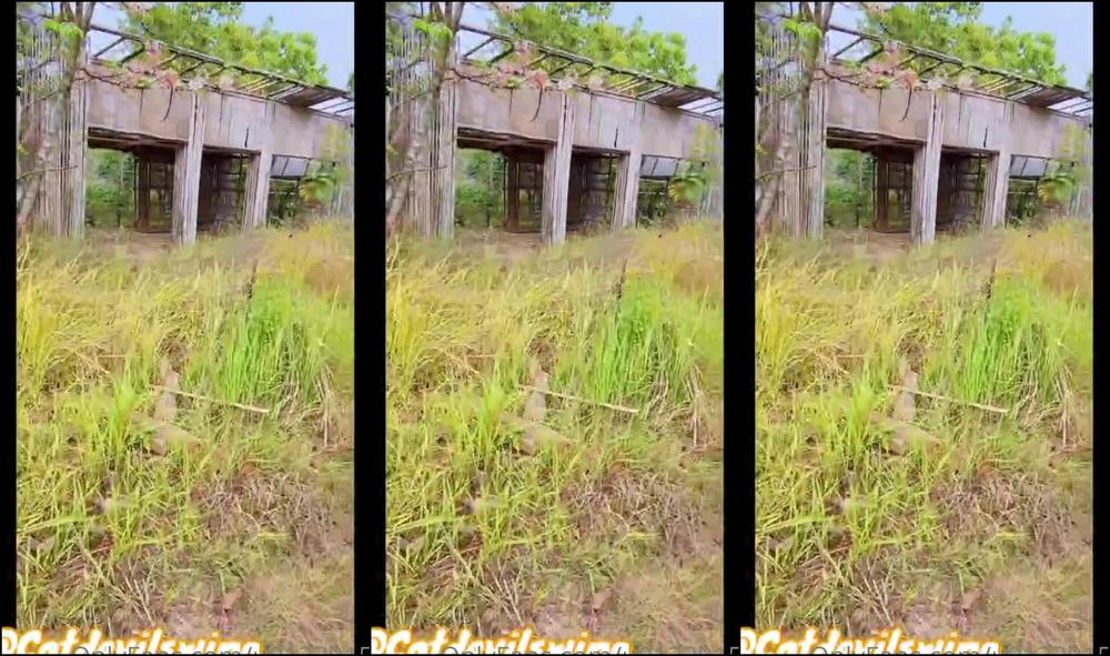 Asian Domestic Zone Self Filmed 08286