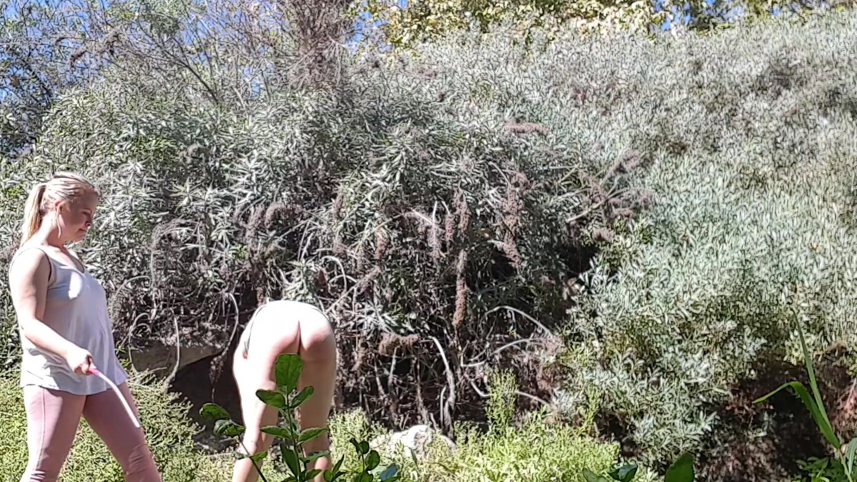 SSoutdoorswitch Clips4Sale