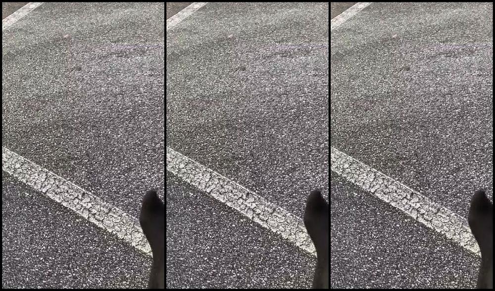 Haitian Babefeet 01 04 2022 Onlyfans Video Cashmeet And Worship My Stinky Socks What A Perfect Way To Start My Day