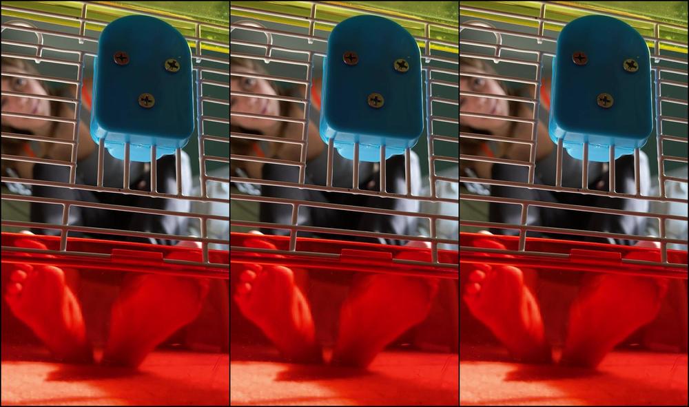 Goddesstalltasha 2241174642 10 07 2021 You Are Mine Forever My Pet And Don T You Forget It Part 2 My Pet Series