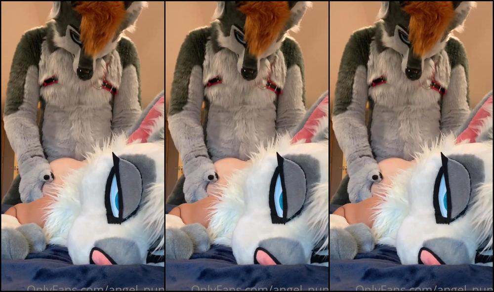 Angel Pups 141347385 This Kitty Was Something Else I Don T Think We Left The Bed 01 9E42Ec37 D9Dc 4889 Ae89 B02B8493D006