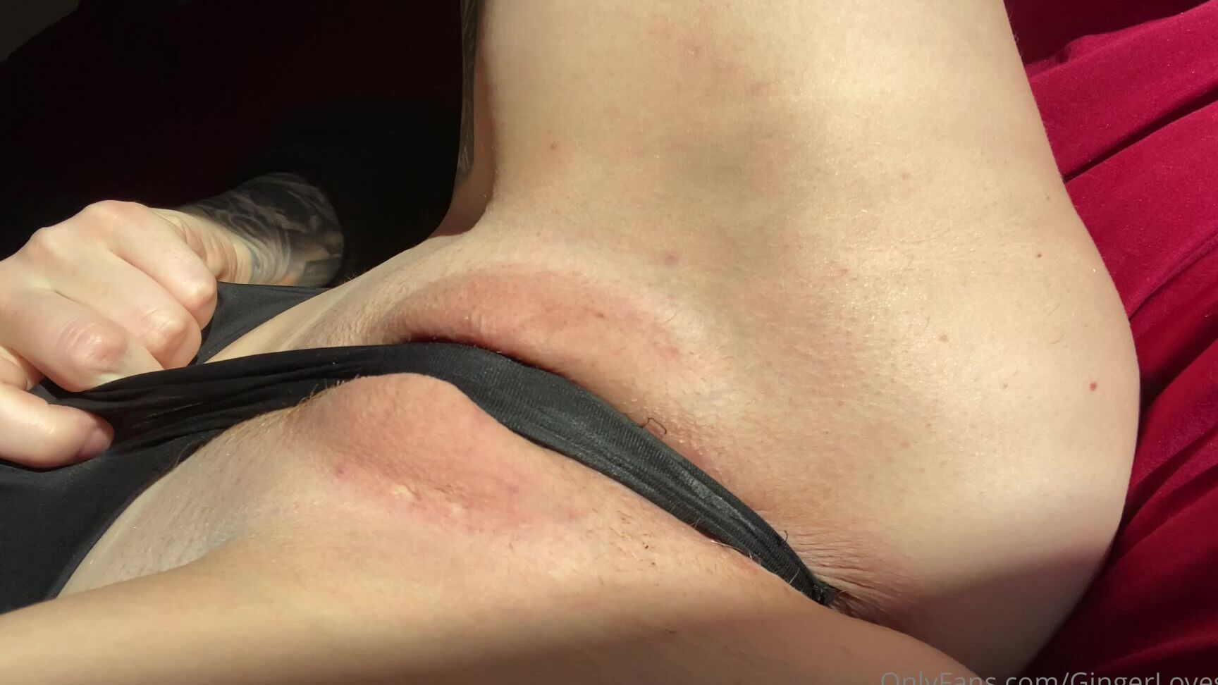 Gingerlovesanal 2022 04 05 2404794024