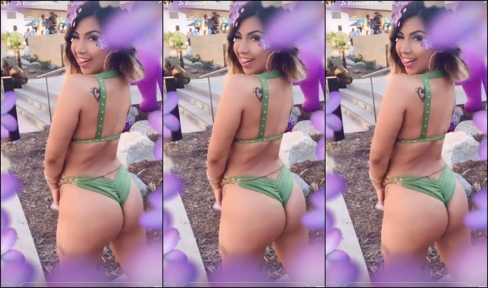 Missfuego 239211059 04 16 2020 Pretty Sugar Butterfly