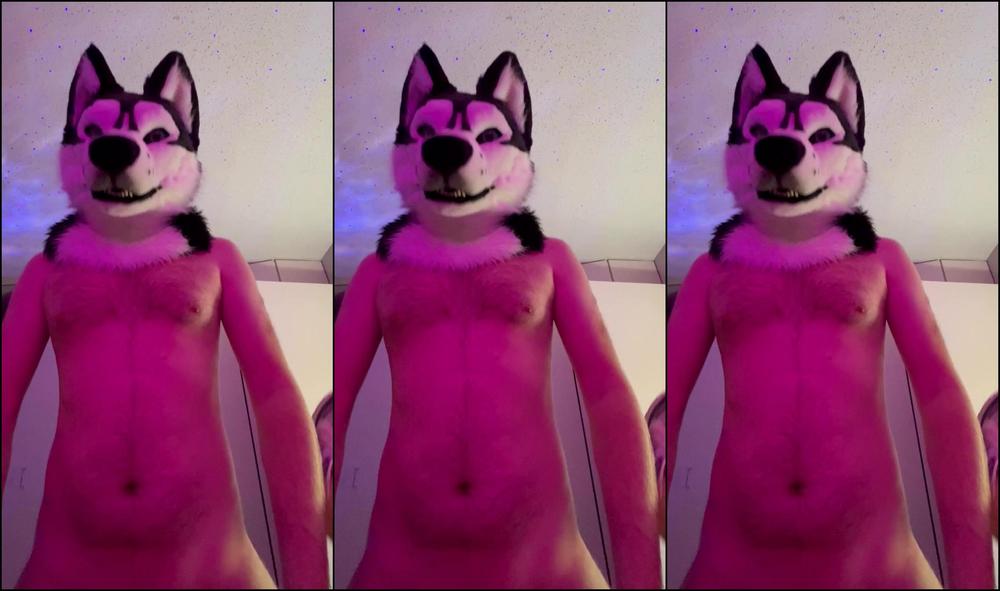 Angel Pups 901998620 Bonus Clip From The Other Night 01 0Hm3Abun3W25D31Ssb9B3 Source