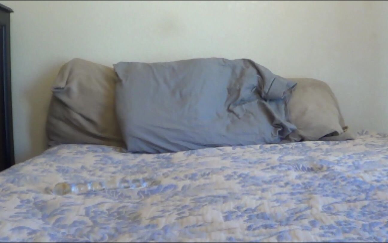 Bailey After Shower Play