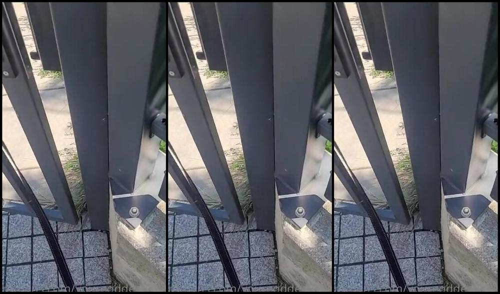 Yourgoddessanna51K Nicknamed Yourgoddessanna1 08 25 2023 Onlyfans Video Another Perfect Day This Bitch Begged To Be Walked In The Park Along My Other Doggies