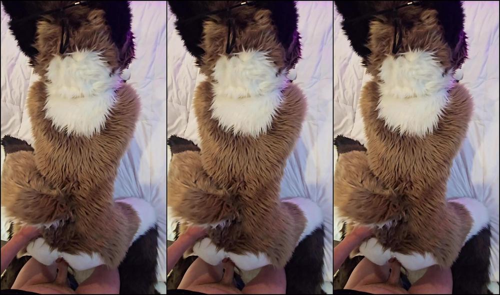 Palacewolf 809219792 Bend Me Over And Treat Me Like Your Puppy Toy Small Clip 01 B2122629 9065 461D 8076 4780C8D01952