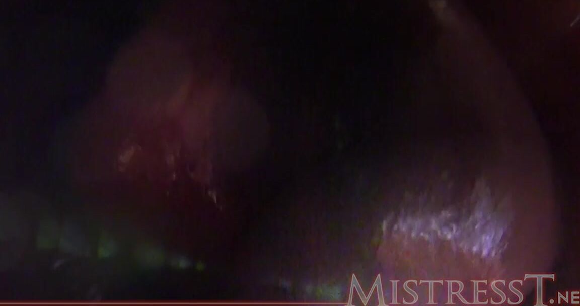 Mistress T Giantess couple punish little pervert MistressT