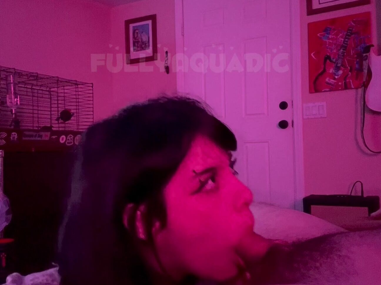 Fullyaquadic 646