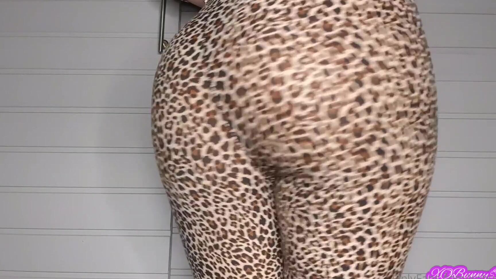 Xobunny You Are My Fart Slave