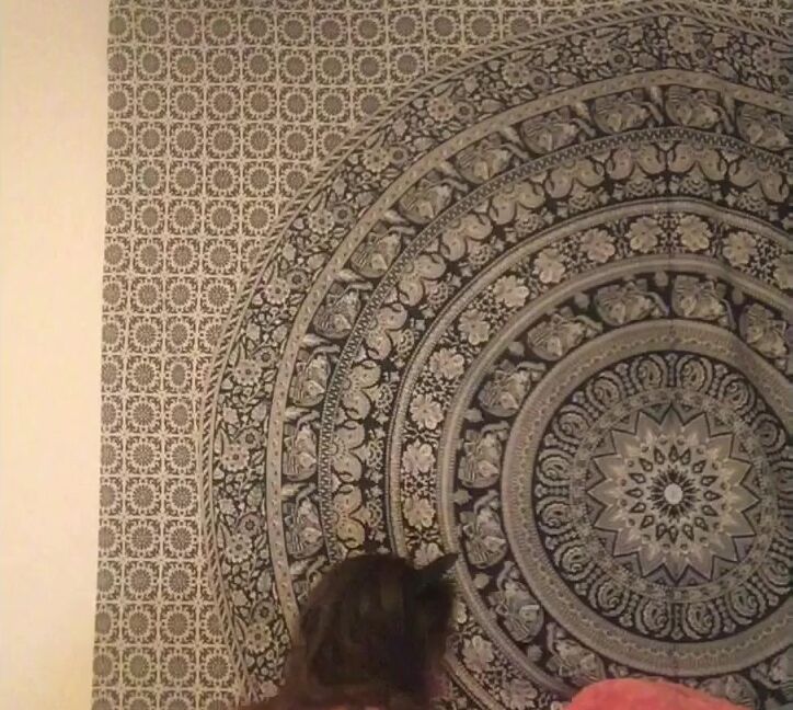 Anal Masturbation, Anal Play, Ass Eating, Butt Plug, Pet Play zabrina new bunny butt plug fun ManyVids