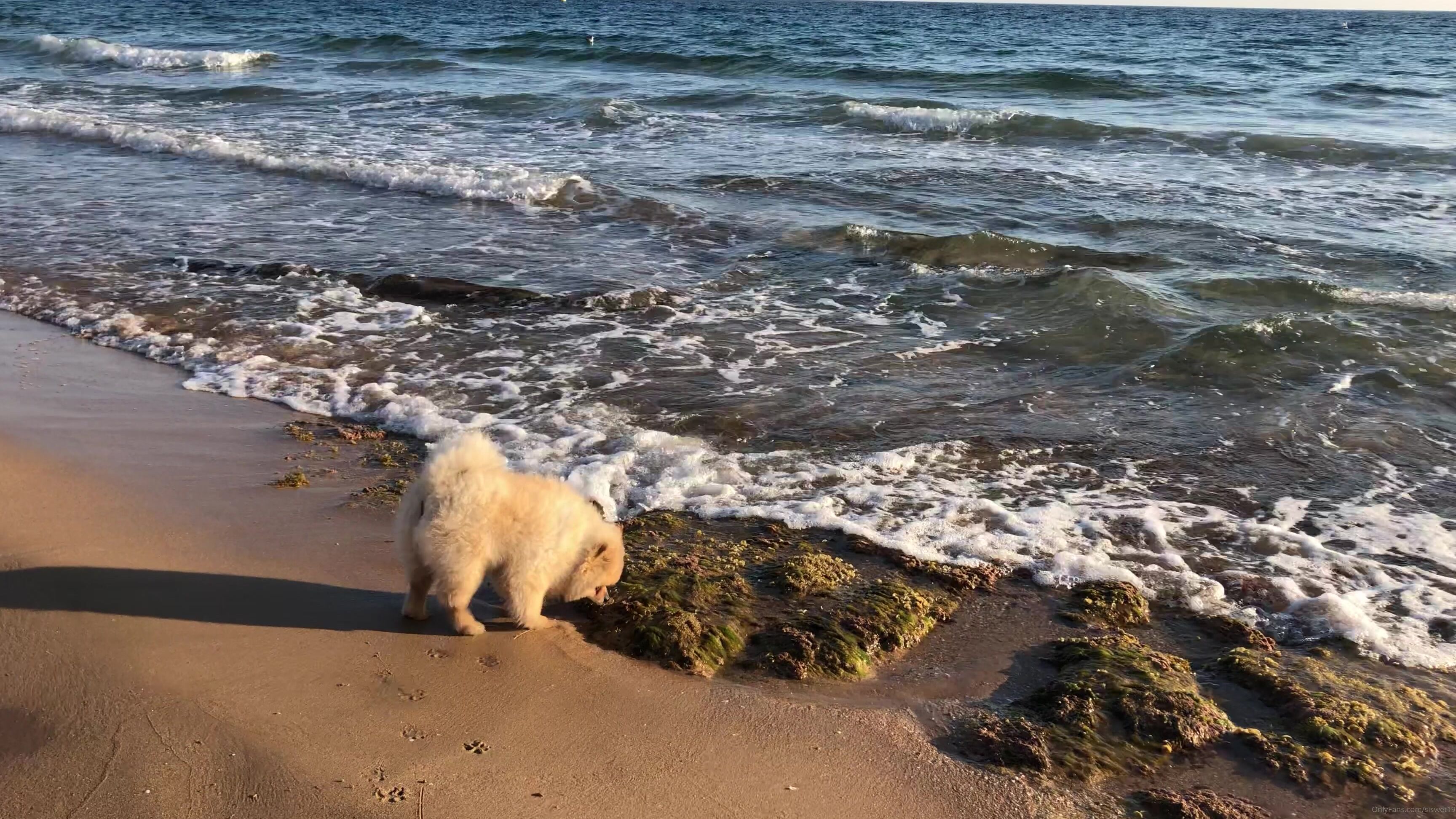 Siswet To The Sea With My Friend He Loved It