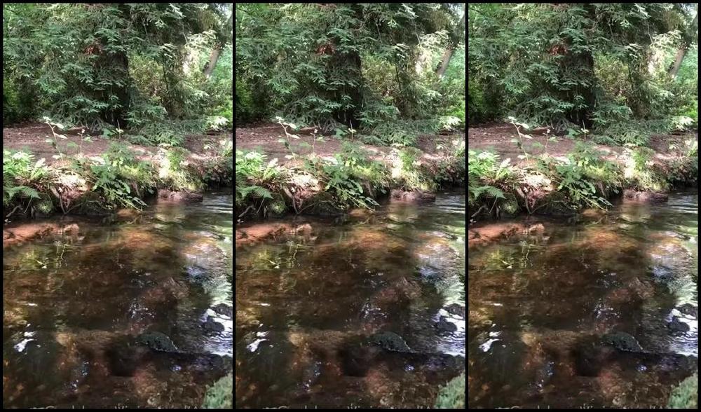 Vivienne L Amour Aka Vlproductionsuk Onlyfans My Current View I Hope You Are Looking Forward To A Fun Weekend Getting Outside Always Makes Me 3