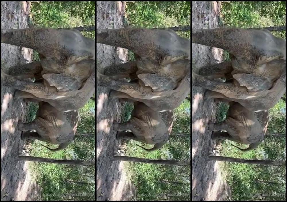 Goddessstellasol Thailand Snapchat Story Day I Forgot To Save My