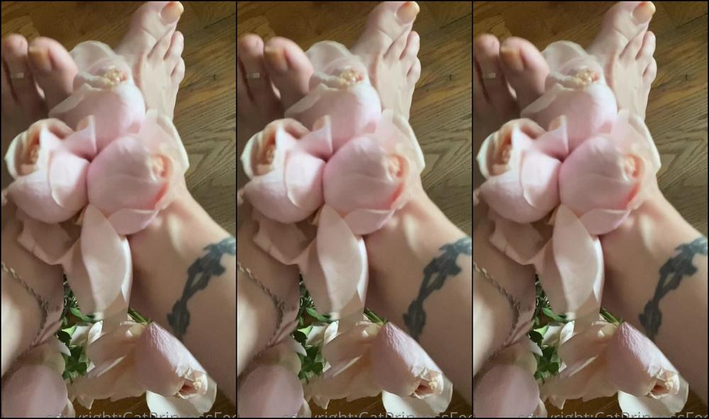 Catprincessfeet Feet Always Ready Played A Bit Which Is Your Favorite