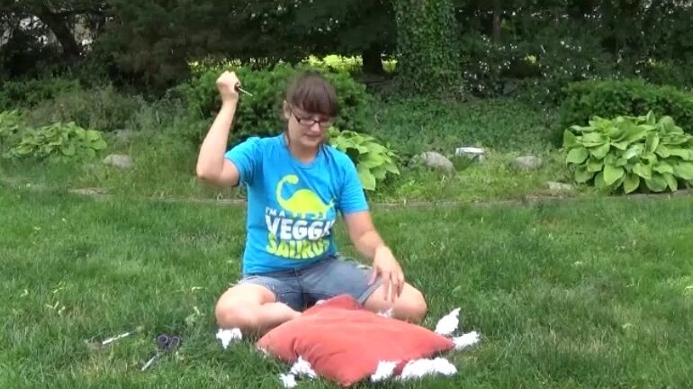 Sarah Michelle Pillow Destruction